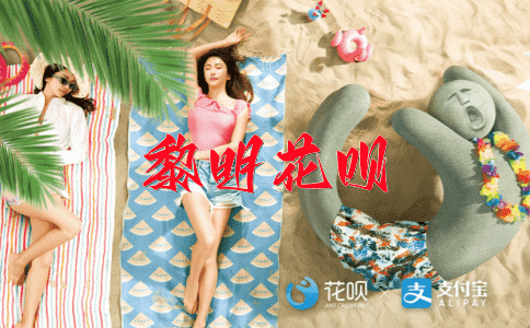 一言不发（一句话都不说）花呗